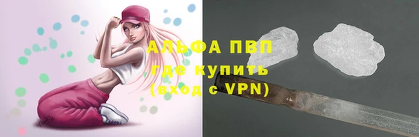 прущие грибы Аркадак
