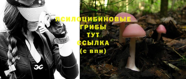 гидра Баксан