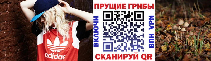 Псилоцибиновые грибы мицелий  Печора 